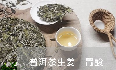 普洱茶生姜 胃酸/2023041118369